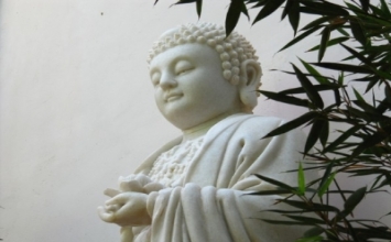 Đời là cõi tạm